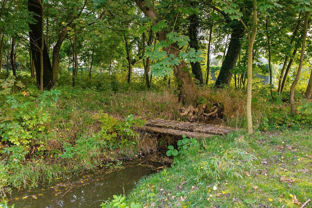 Palac Kietlin Niemcza Exteriér fotografie