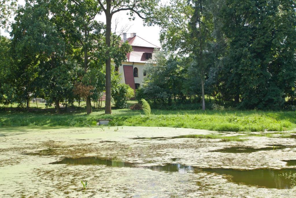 Palac Kietlin Niemcza Exteriér fotografie