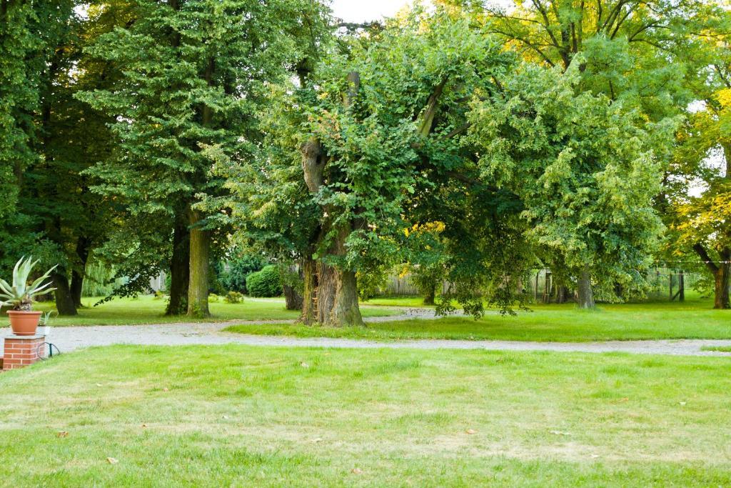 Palac Kietlin Niemcza Exteriér fotografie